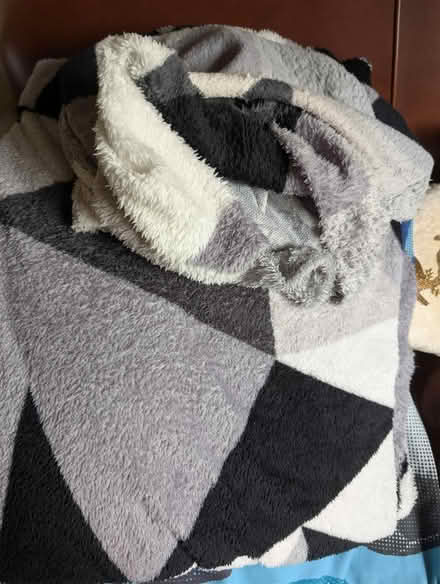 Photo of free Single duvet cover 1 pillow case (Shinfield, RG2) #1