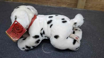 Photo of free "Buttons" fluffy, soft toy dog (NR1 4LD) #4