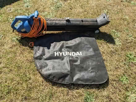 Photo of free Hyundai electric leaf blower (Bletchingley RH1) #2