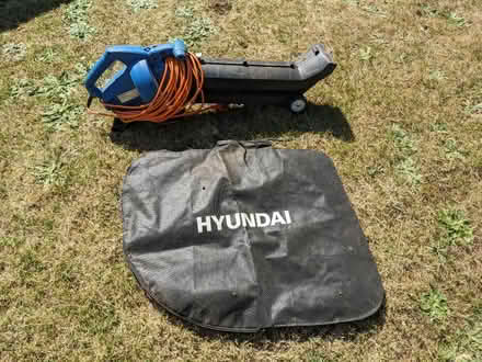 Photo of free Hyundai electric leaf blower (Bletchingley RH1) #1