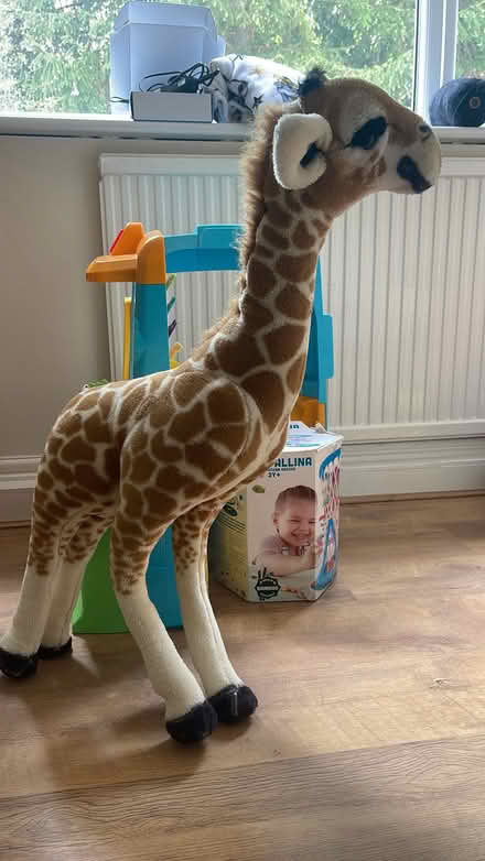 Photo of free Melissa and Doug giraffe (Darley Hillside DE4) #1