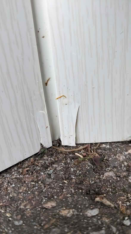 Photo of free Concertina Folding Door (PL4 Greenbank.) #3