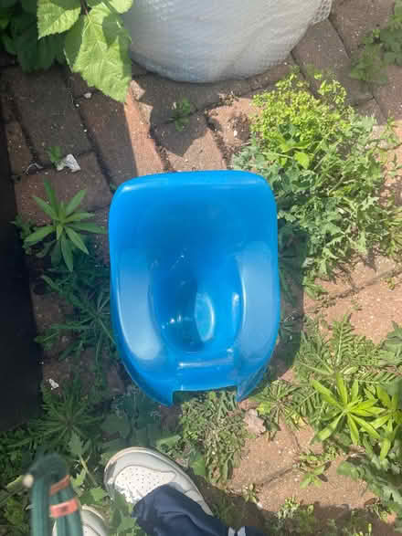 Photo of free Potty (New Marston OX3) #1