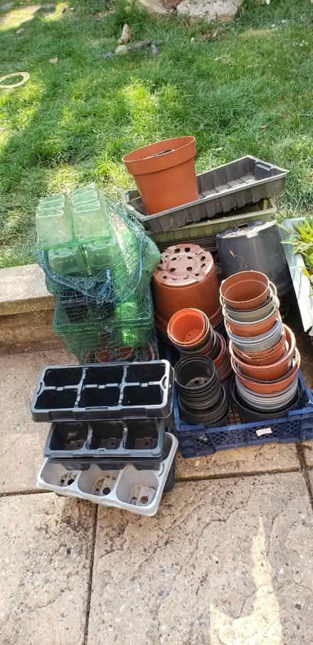 Photo of free Plastic Plant Pots and Seed Trays (CT2) #1