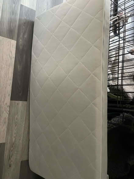 Photo of free Cot mattress (Foxholes DY10) #2