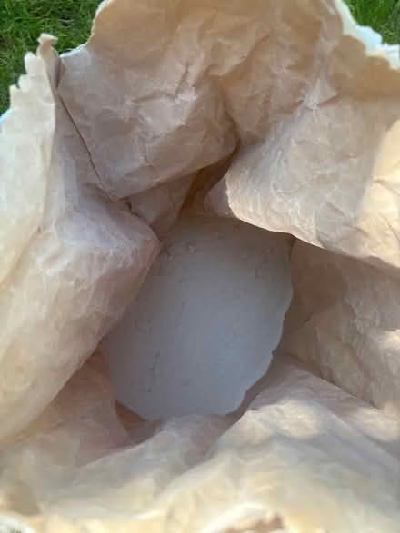 Photo of free Ivory tile grout (Peachcroft OX14) #2