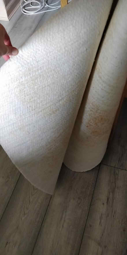 Photo of free Cover for oval table (Newington EH8) #3