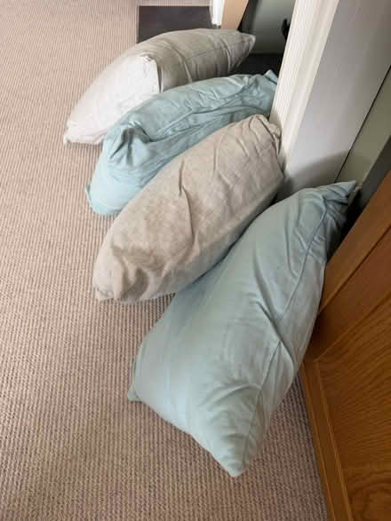 Photo of free 4 John Lewis House Cushions (Old Erleigh / Woodley RG6) #3