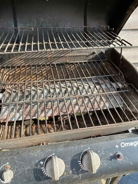 Photo of free Gas canister and BBQ (Beckenham BR3 3NL) #3