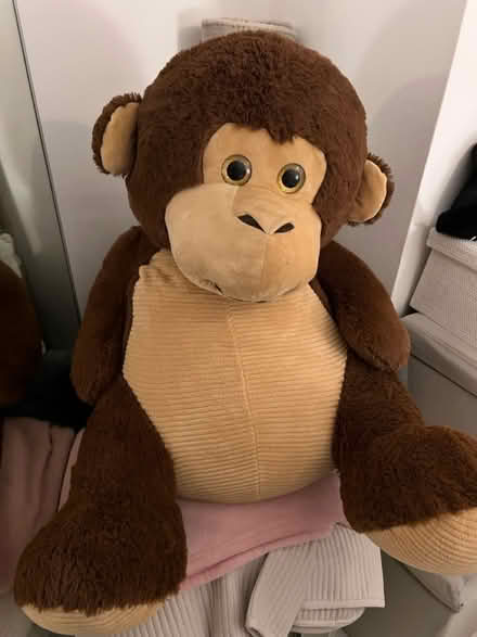Photo of free Large teddy (Bounds Green N11 2QD) #2