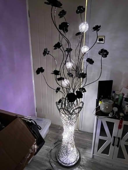 Photo of free Tall flower light (Belle vale l27 1XF) #1