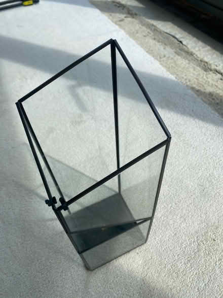 Photo of free Glass and metal phalaenopsis container (Prestwood HP16) #1