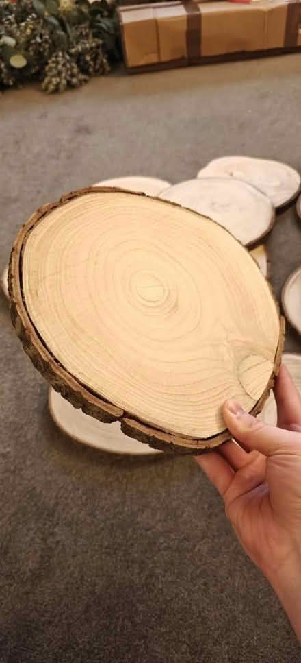Photo of free 11 Wood Slices (Natural with bark) (Kidderminster DY10) #2