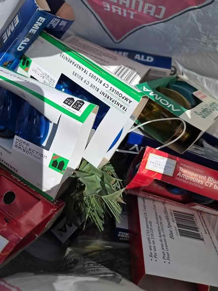 Photo of free Christmas light bulbs and clips (Old Ottawa South) #1