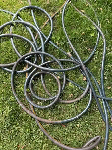 Photo of free 4 garden hoses (North Ballard) #1