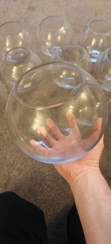 Photo of free 11 Fish bowl Vases (Kidderminster DY10) #2