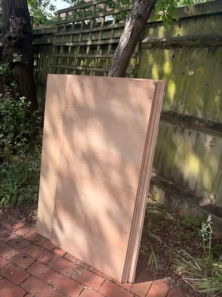 Photo of free Sheets of 5mm ply board (Tilehurst RG30) #1