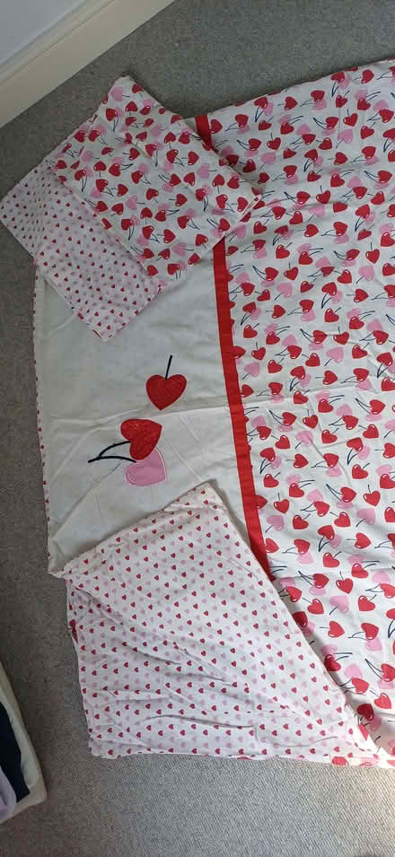 Photo of free Cute single bed duvet cover and pillow case (Buggs Bottom RG4) #1