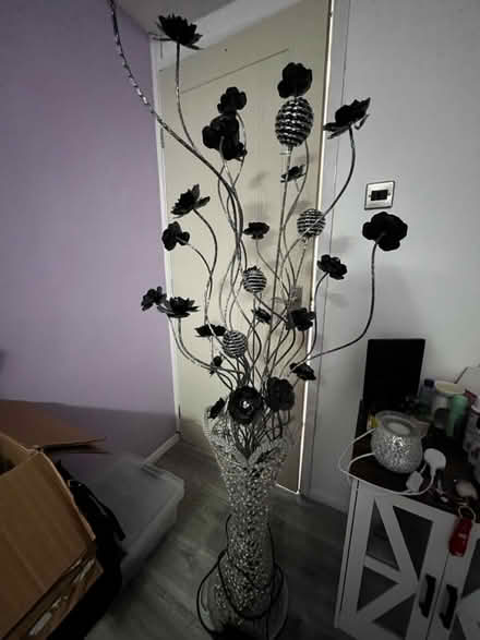 Photo of free Tall flower light (Belle vale l27 1XF) #2