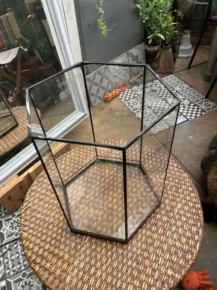 Photo of free Aquarium (Covent Garden WC2H) #4