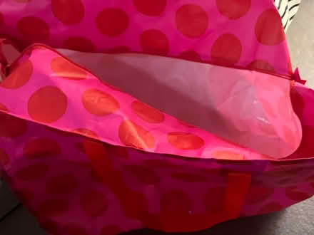 Photo of free Large storage bags (W5) #1