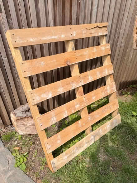 Photo of free Pallet for allotment or garden use (Headington OX3) #1