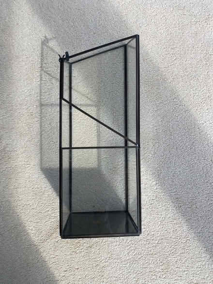 Photo of free Glass and metal phalaenopsis container (Prestwood HP16) #2
