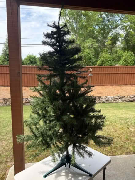 Photo of free Small Christmas Tree (Marietta) #2