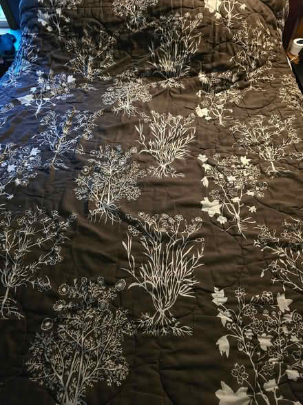 Photo of free Brown Floral Twin Comforter (West 7th) #1