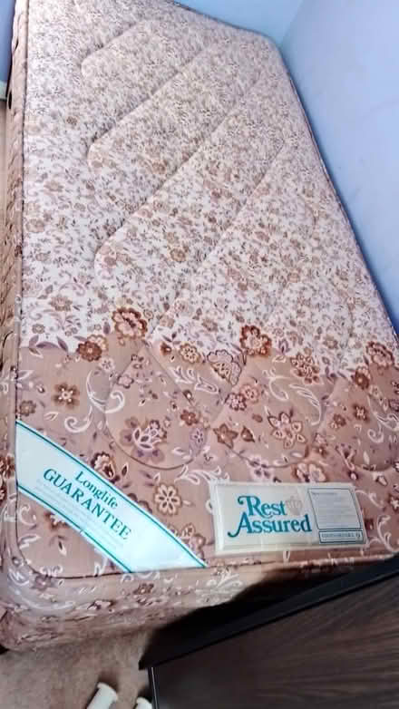 Photo of free Single divan bed (Whitnash CV31) #1