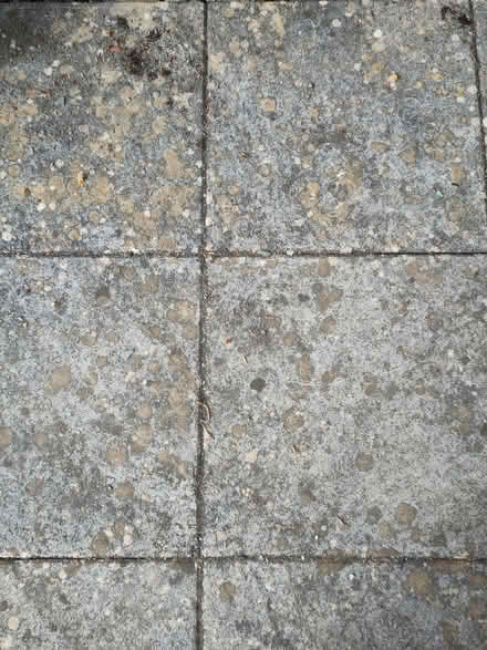 Photo of free 2x2 patio slabs (Levens LA8) #1