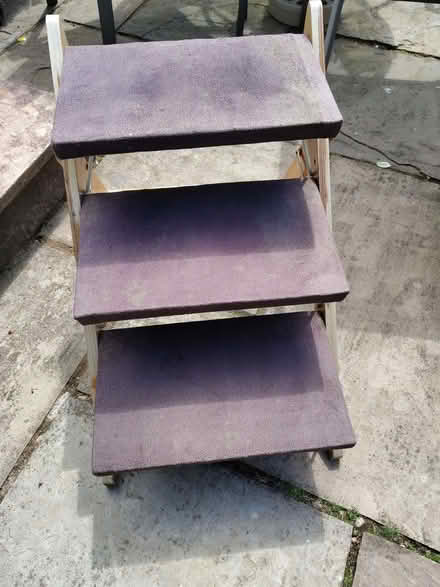 Photo of free Dog steps (Pensby CH61) #1