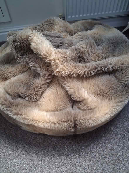 Photo of free Fake fur bean bag (Bowerham LA1) #1