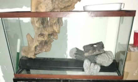 Photo of free Fish tank (10469) #1
