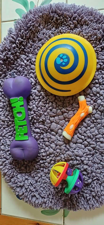Photo of free Dog toys (Buggs Bottom RG4) #1