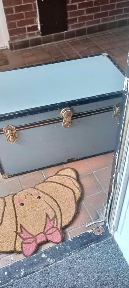 Photo of free Large trunk/chest (Brookside Telford) #1
