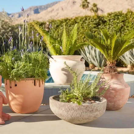 Photo of Large terracotta planters/plates (Greenwood) #1
