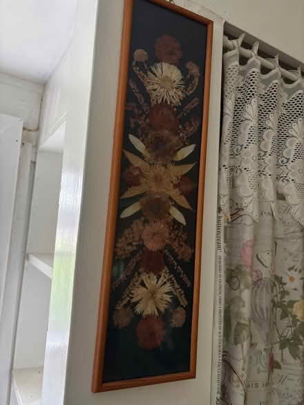 Photo of free Framed dried flowers (Croton-on-Hudson) #1