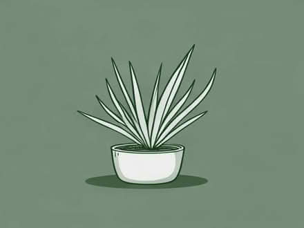 Photo of Baby spider plants (Cumbernauld G67) #1
