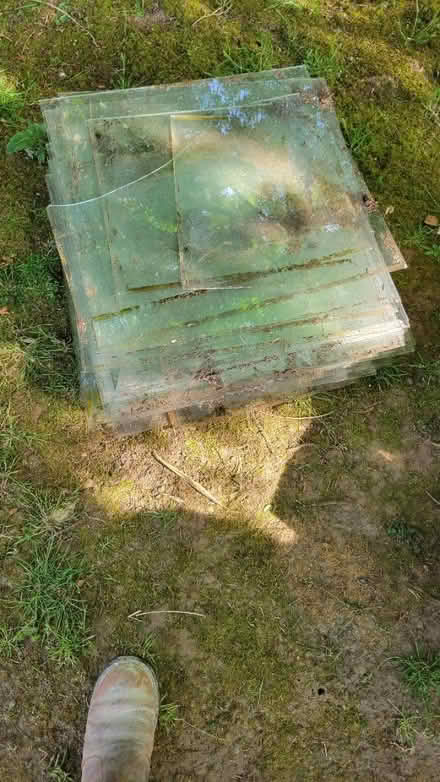 Photo of free Green house glass (Bramley) #1