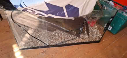 Photo of free Fish tank (Morecambe LA4) #1