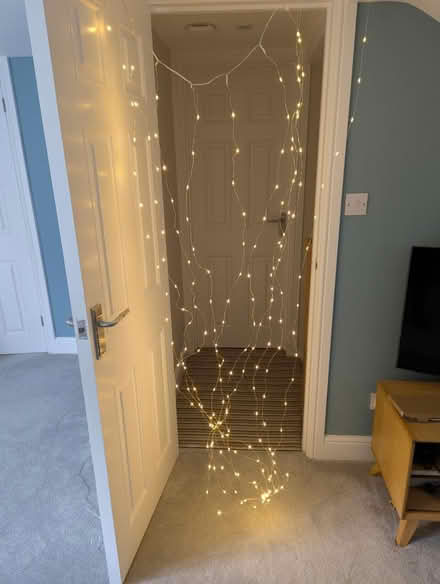 Photo of free Led fairy lights (Kempshott RG22) #1