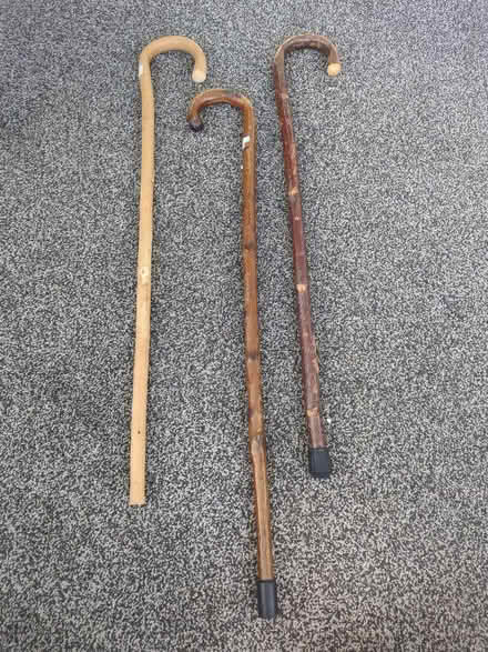 Photo of free Walking sticks (Orgreave S13) #1