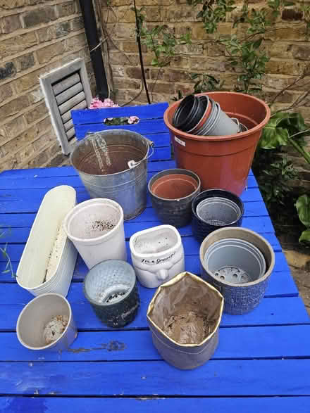 Photo of free Joblot plant pots (SW8) #1