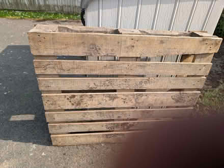 Photo of free Pallet (Down Ampney GL7) #2