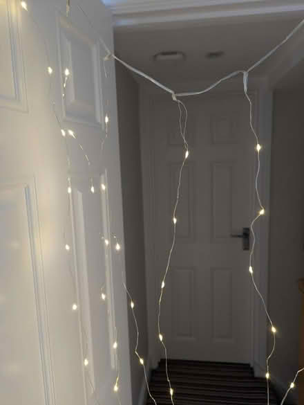 Photo of free Led fairy lights (Kempshott RG22) #3