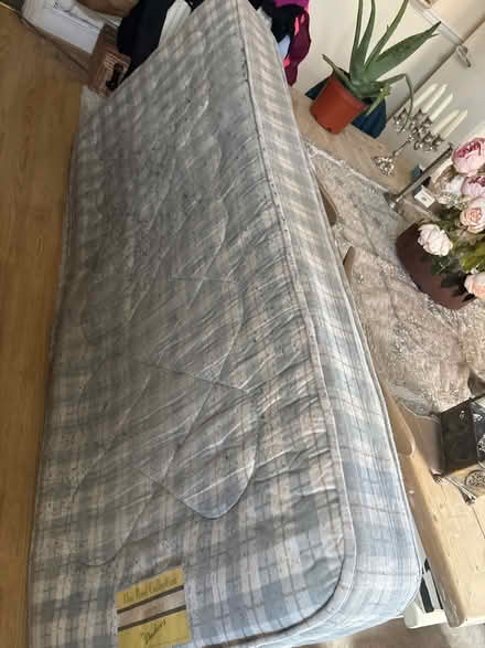 Photo of free Single sprung mattress (SY1) #3
