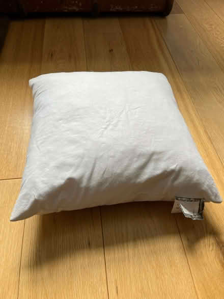 Photo of free Pair of duck feather cushion pads (Raynes Park SW20) #1
