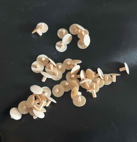 Photo of free Screw covers - beige (Ware SG12) #1