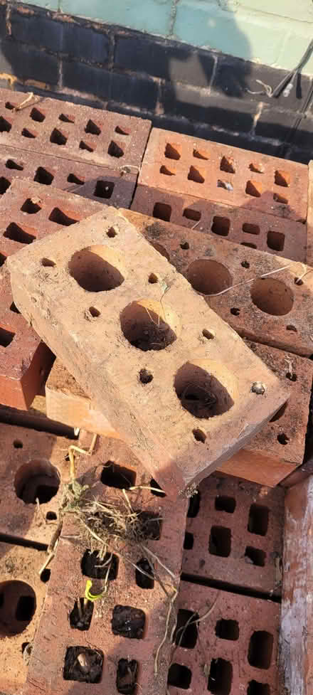 Photo of free Bricks (Yardley B26) #4